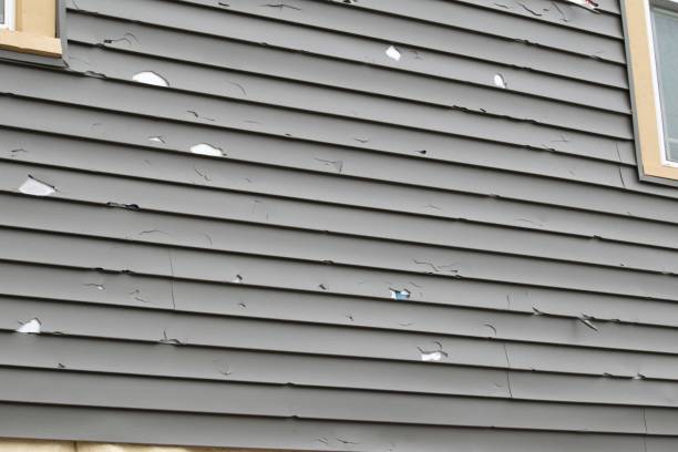 Best Historical Building Siding Restoration  in Carlin, NV